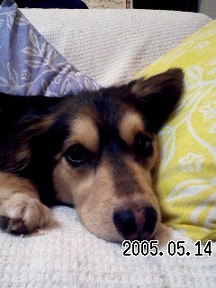 funny1224's profile picture. 海外旅行や温泉大好き。おいしいものを食べることも大好き。海外ドラマとトレッキングにハマっています。