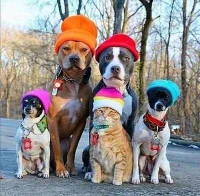 Chrspiro's profile picture. 