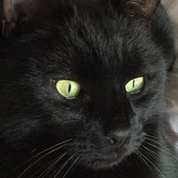 Patricia Price (@patrici49517233) 's Twitter Profile Photo Patricia Price (@patrici49517233) 's Twitter Profile Photo