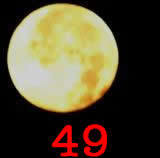 report49's profile picture. 