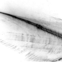 St.Kitts Royal Orch. (@wearestkitts) 's Twitter Profile