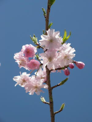 oyasan_ja's profile picture. 野球もサッカーも好き。が、読書も写真も好き。ああ温泉行きたい