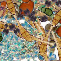 Genevieve Marchand #covidisairborne (@gen_marchand) 's Twitter Profile