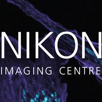 NIC@Kings (@nic_at_kings) 's Twitter Profile