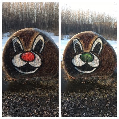 albertafreckles's profile picture. Since 2011 I have painted hundreds of pictures on a couple of bales near Edgerton AB. Enjoy and please share.