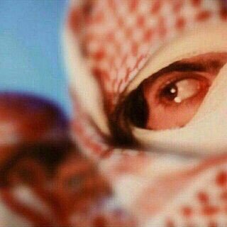 5dwX6vFIcaOu8ly's profile picture. 