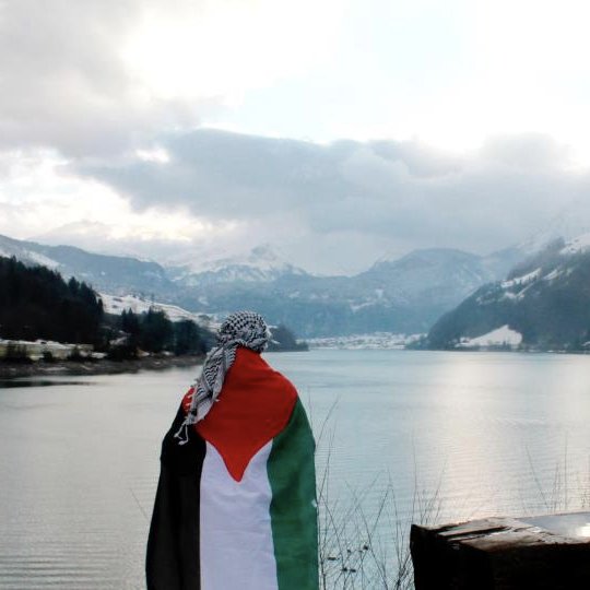 _M_AMMAR_'s profile picture. 