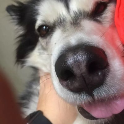 PeterLee0991's profile picture. 