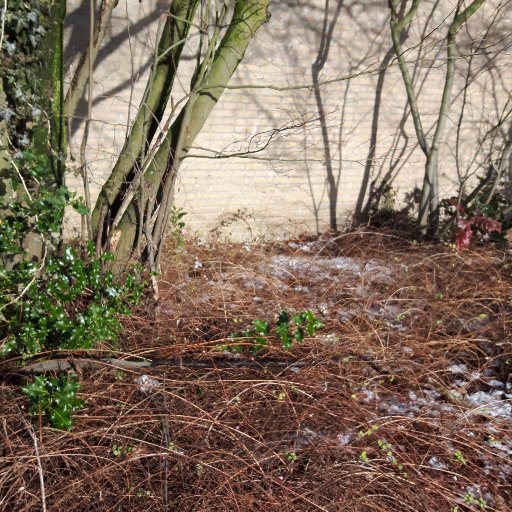 klaasje2017's profile picture. 