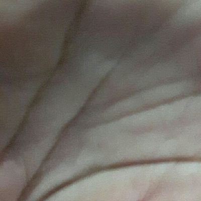 Herman211015's profile picture. 