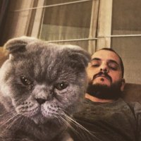 CemCem (@cem_ozcelik) 's Twitter Profile
