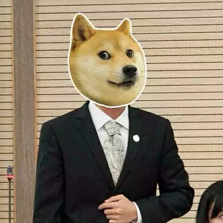 TonyLiang0126's profile picture. IP Law