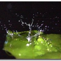 Sébastien Saint-Jean (@dropsplash) 's Twitter Profile Photo Sébastien Saint-Jean (@dropsplash) 's Twitter Profile Photo