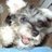 thathy_jlle's profile image