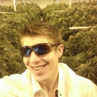 Nicholas Jeno (@nicholasjeno) 's Twitter Profile
