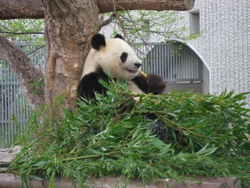 n_72ki's profile picture. 