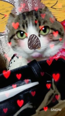 にゃんこ🐱も大好き❤GLAY❤も好き❤V系も大好き❗頑張ってる人も好き❗苺🍓も好き❤
嫌いなのは…虫…((( ；ﾟДﾟ)))ｶﾞｸｶﾞｸﾌﾞﾙﾌﾞﾙ
よろしくお願いいたします🐱(ФωФ)ニャ〰🎵