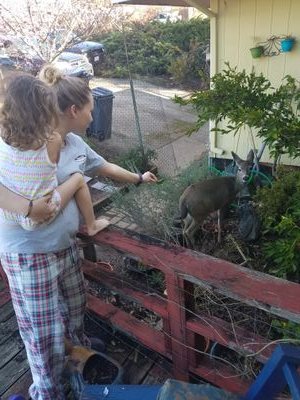 I love being a parent and just want to see and share the good things going on with kids these days?