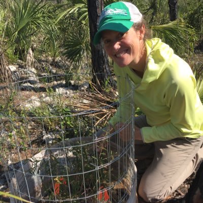 ericahhenry's profile picture. Endangered species conservation, super rare butterflies, restoration, climate change, FL Keys, Everglades, and Oregon coast she/her