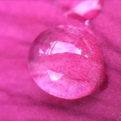 ZzjO7's profile picture. 京都在住 私立大学職員