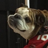 FLAWAWAPATRON (@flyersfanfla) 's Twitter Profile Photo FLAWAWAPATRON (@flyersfanfla) 's Twitter Profile Photo