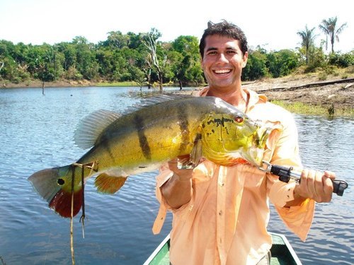 amazon_fishing's profile picture. Agencia de Pesca esportiva de Tucunare na Amazonia.