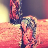 كويتيه وافتخر🇰🇼 (@swalf_kuwaityat) Twitter profile photo