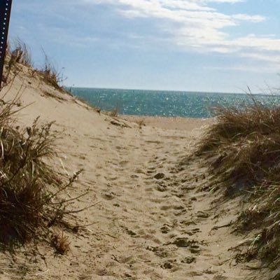 Cape471's profile picture. 