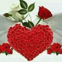 أحب الحس كس (@3105salim) Twitter profile photo