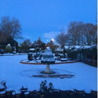 Manisha (@manisha44769483) 's Twitter Profile