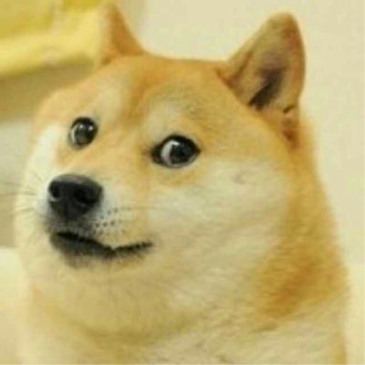 ysh9312's profile picture. 果粉，谷粉，英超粉，渣技术宅，米黑，喷子，怀念以前的cnbeta。 试图对任何事保持客观冷静，但局限于见识太少。