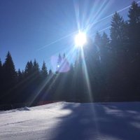Thomas Arnoldner (@tharnold) 's Twitter Profile