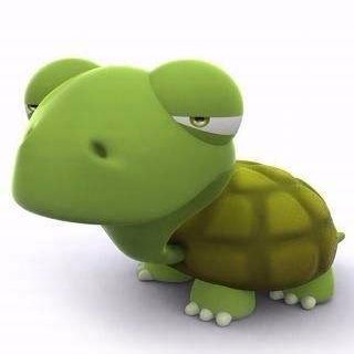 tanytortoise's profile picture. 