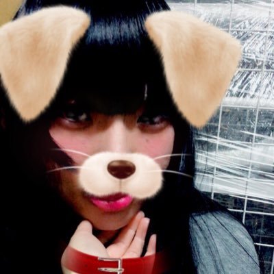 sige1454's profile picture. うっしっし〜