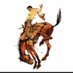 Buckaroo Football (@buckaroo_fball) Twitter profile photo Buckaroo Football (@buckaroo_fball) Twitter profile photo