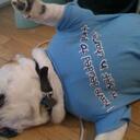 Paul Marchio - @oscarboy - Twitter