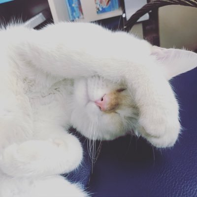 Speto0's profile picture. อมยิ้ม