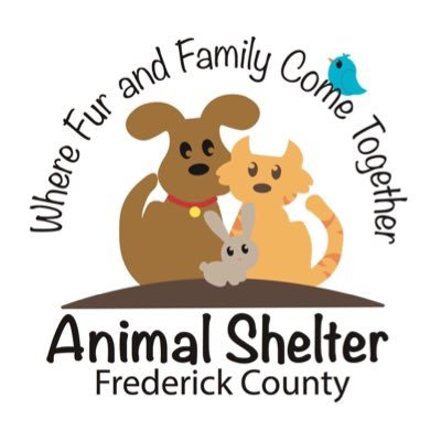 Mission: To prevent and address mistreatment of animals in the County by enforcing law and sheltering homeless animals.