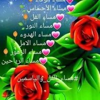 مح خالد فحل السوداني (@dafullhtar44351) 's Twitter Profile