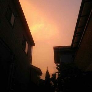 kazuo_pja's profile picture. 写真を撮ってます　Nikon使い…。
日常写真はスマホ使用