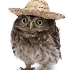 peto_bence1's profile picture. #DrakeMoonArmy #skinhubsquad #OpenCSGOForce #iamcryptonning
$EVCoin NFT Marketplace is launching soon, I’m in! Check out https://t.co/Fhmnr54Kgp