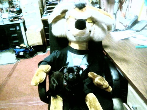 FeelTheBernie's profile picture. 