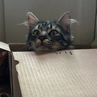 Pierre AUCAIGNE (@pierreaucaigne) 's Twitter Profile
