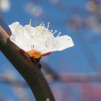 悠稀@＋7.5kg (@yufuki02) 's Twitter Profile