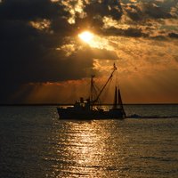 Keith Wall (@wall_obx) 's Twitter Profile