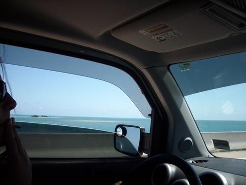 c_a_r_b's profile picture. Marijuana.  Meditation.  Metaphysics. Massage. Reiki.