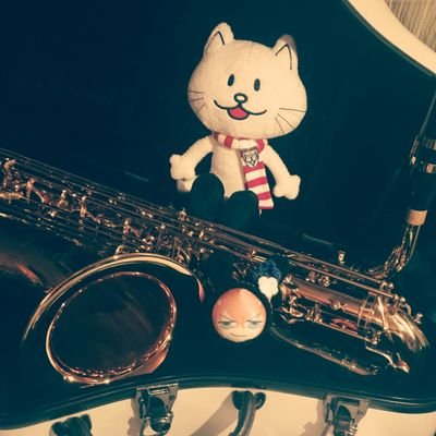vrai_poire's profile picture. 音楽とアニメとゲームが好きなただのヲタク。いろんな音楽を聴きます♪リズム隊が見たいので基本下手にいる。RT多め。Switch勢。
