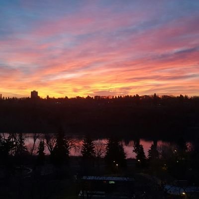 bear_byte's profile picture. 