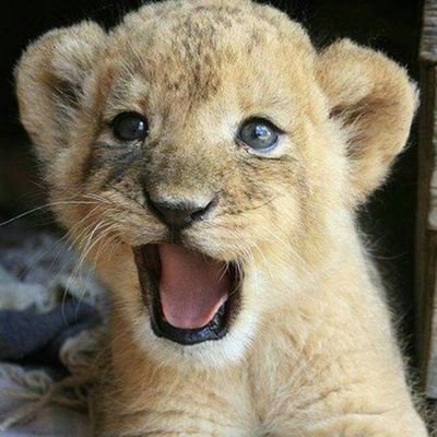 titanik1716's profile picture. 