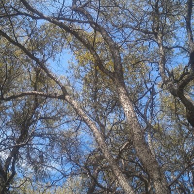 HeatherLeTeach's profile picture. 